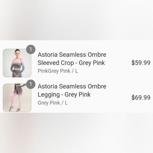 Astoria Seamless Ombre (Pink Grey) Sleeved Crop + mattching leggings (Grey Pink)